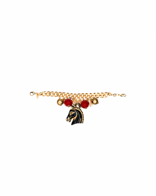 BRACCIALE RANCH